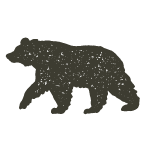 bear icon